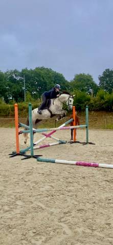 Vds ponette pfs de 5 ans 