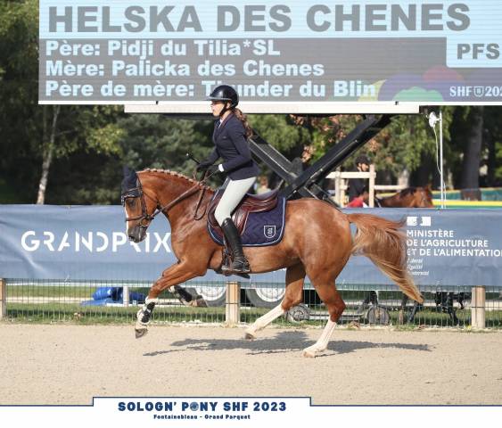 Ponette PFS pour épreuves AS 8 ANS