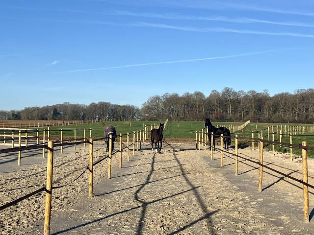 Nouvelle pension chevaux – Haras d’Harmonie