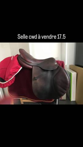 Selle cwd