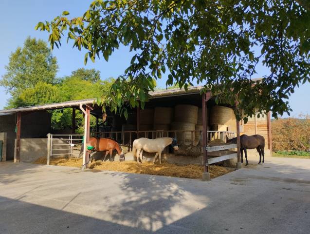 Pension chevaux - Le Vallon des Oréades