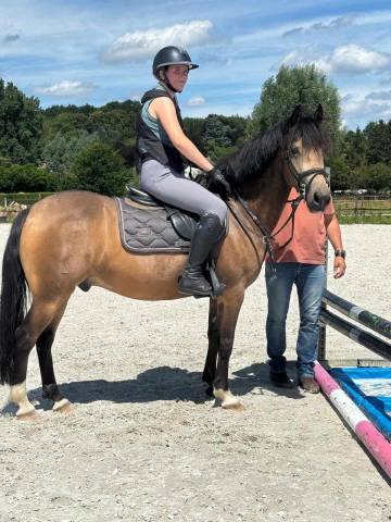 Super poney de sport cso à vendre