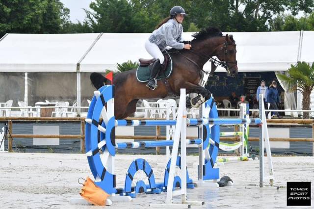 Cherche chevaux, poneys pour du dépôt vente 