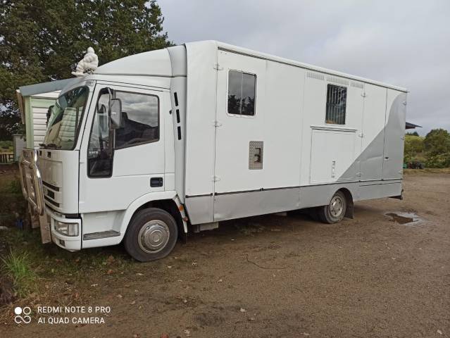 URGENT | Camion Chevaux PL | Iveco | Permis C1 