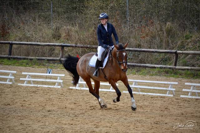 Ponette PFS de 9 ans - loisirs et dressage 