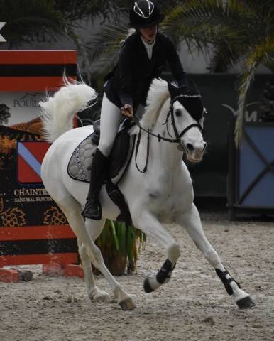 Ponette Pur sang arabe à vendre après EquitaLyon