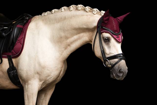 Bonnet anti-mouches bordeaux - Equestrian Stockholm