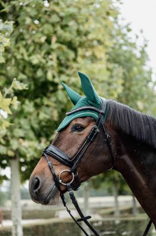 Bonnet Wellington Velvet Vert Sapin - Kentucky