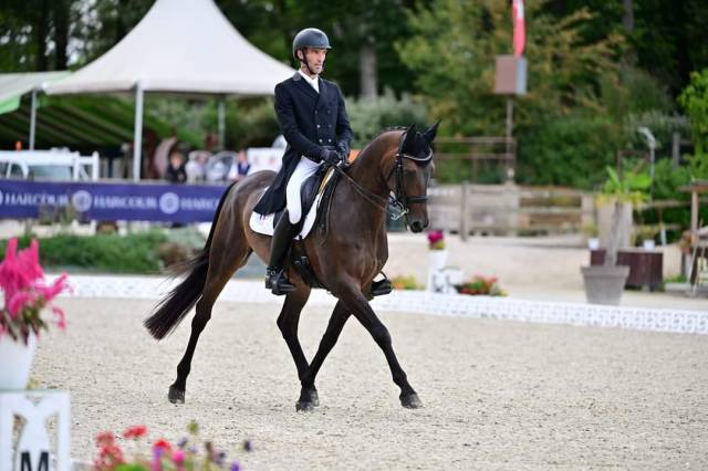 Schoolmaster Prix saint Georges, hongre 13 ans