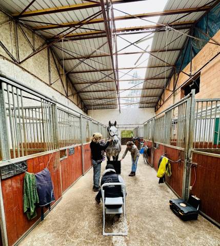 Pension pré-boxe Senlisse