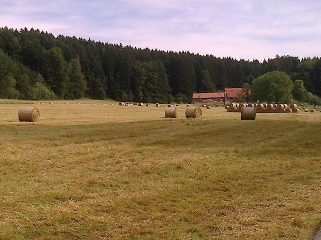 Boxe à louer - DB Farm - Chapelle sur Oron