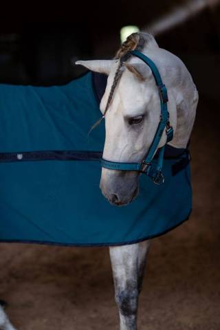 Licol et longe Sportive Aurora Blues - Equestrian Stockholm