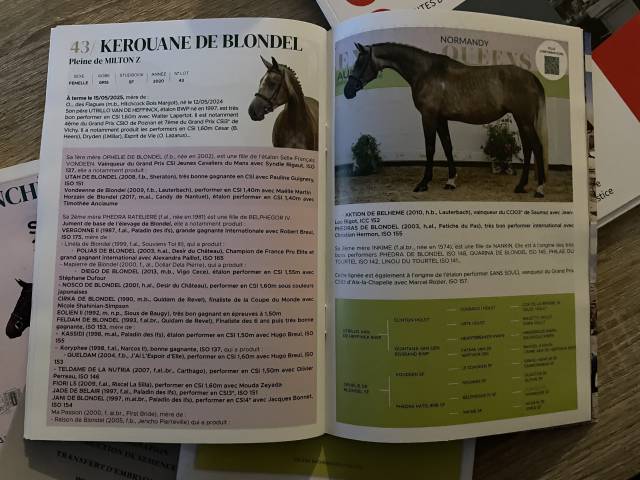 Kerouane de Blondel PLEINE de Milton Z