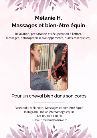 Mélanie H. Massages et bien-être équin.