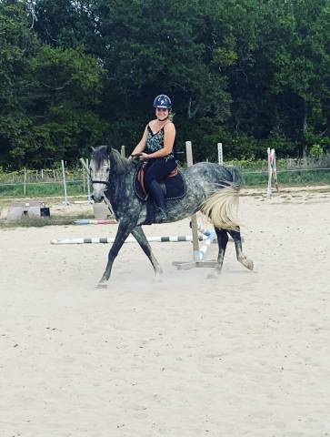 Poney de sport 