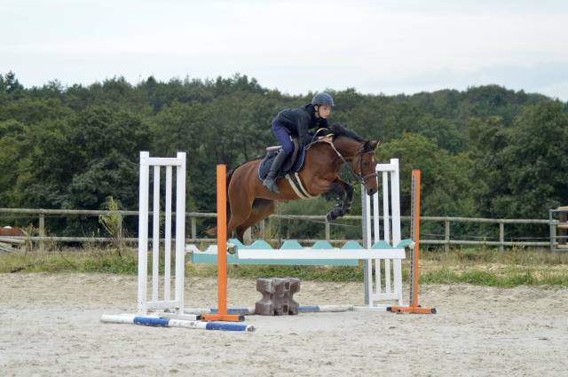 Ponette de sport 