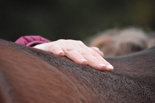 Moniteur d'équitation