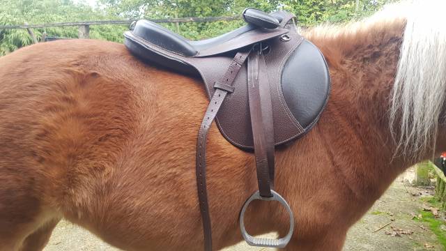 Selle pour Shetland ou petit poney