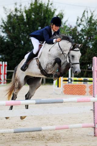 Cheval - idéal amateur pour CSO