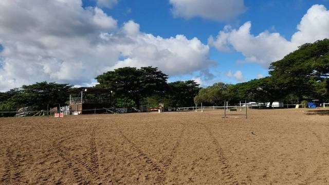 Recherche enseignant équitation à l'ACNO