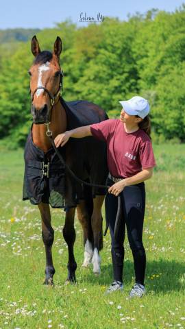 Vous cherchez à vendre votre cheval? 