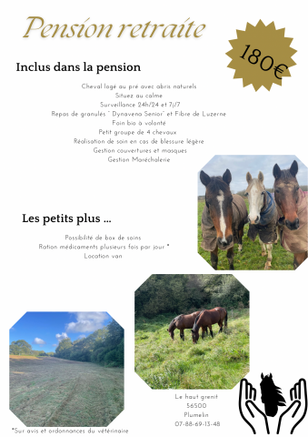 Pension retraite - Ecurie  Gaillard - 56500 Plumelin