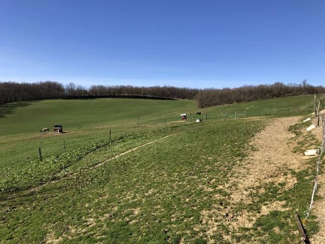 Pension chevaux familiales 