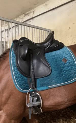 Selle de dressage 