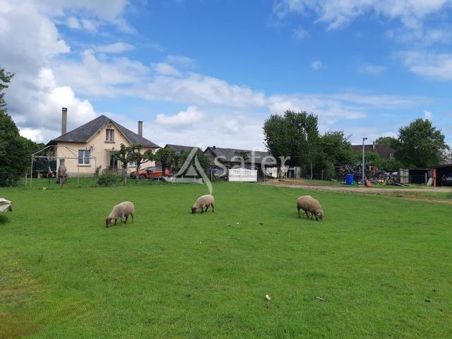 Au sud du département de la Haute-Vienne, propriété de 26 ha.