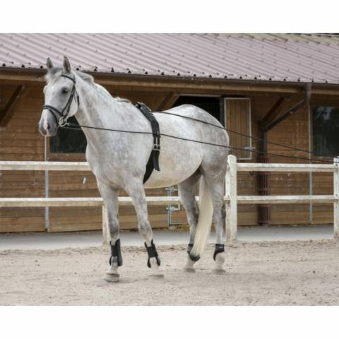 Longues rênes en cuir et corde - Riding World