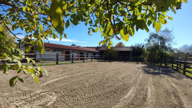 Propriété équestre d'exception 4 hectares