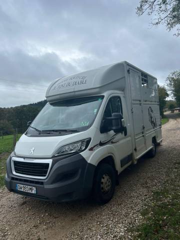 Camion boxer bétaillière