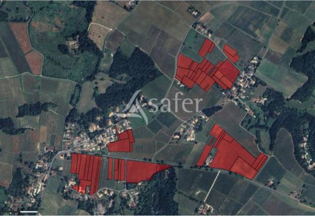 Projet AGRICOLE à créer - Entre Deux Mers proche BORDEAUX