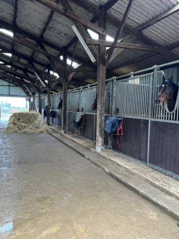 Pension chevaux dans le Finistère