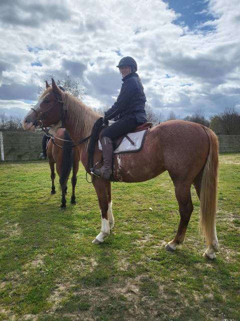 Un cheval pour la vie