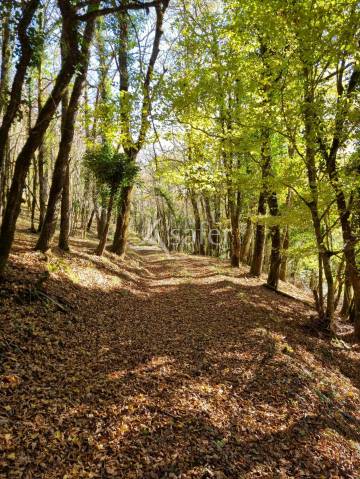 Demeure de caractère en pleine nature sur 67 ha au Coeur du Lot