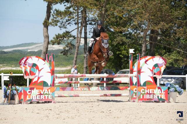 Cheval Hongre SF 7 ans par Hélios de la cour 