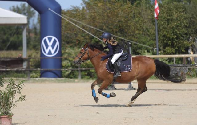 Super poney d’enfant pour débuter et apprendre en CSO