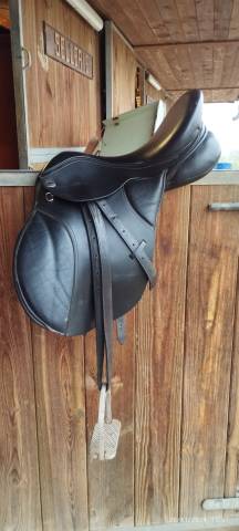 Selle Thorowgood T8 Standard 17"