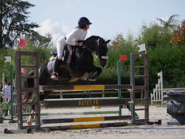 DP poney de sport 