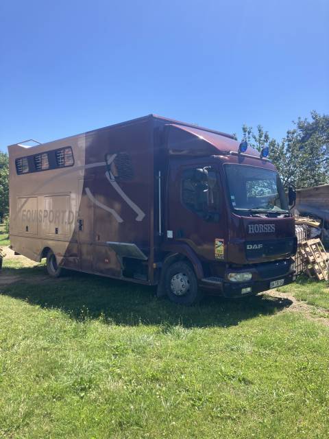 Camion 4pl chevaux