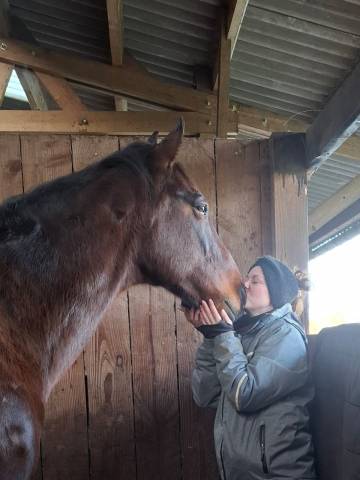 Cheval coup de coeur assuré