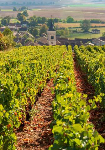 STAGE D ÉQUITATION EN BOURGOGNE 