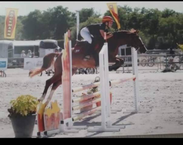 poney D cso 12ans