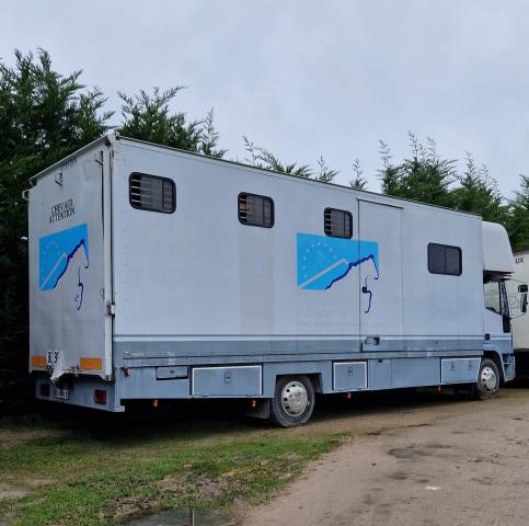 Camion chevaux iveco 