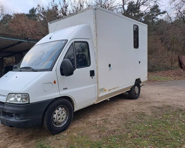 Camion chevaux