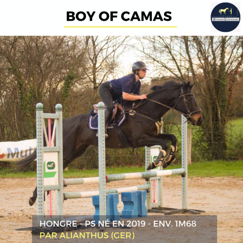 SUPERBE HONGRE - BOY OF CAMAS - 6 ANS