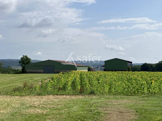 2 bâtiments agricoles avec 17 ha