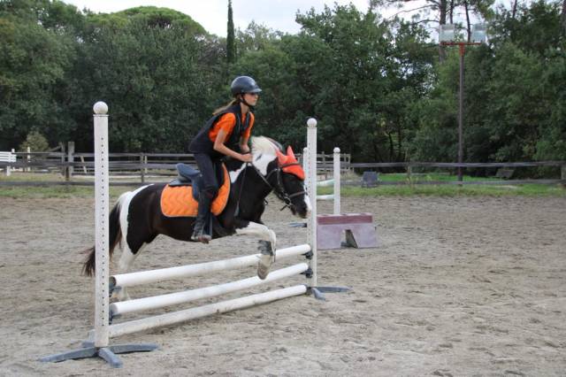 Tapis paddock orange 