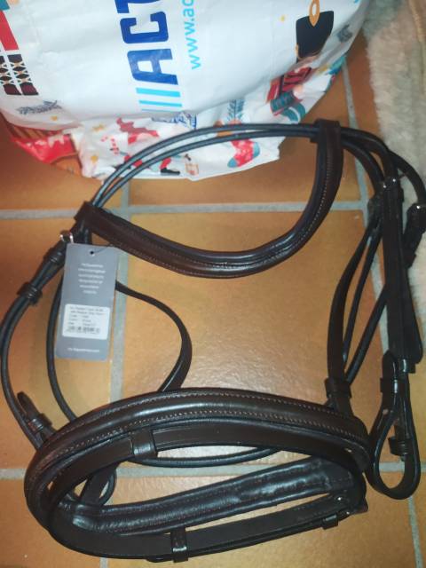 Vends fillet taille poney 